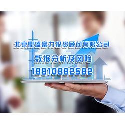 北京鼎盛投資顧問公司企業(yè)項目數(shù)據(jù)分析與風(fēng)險控制策略報告